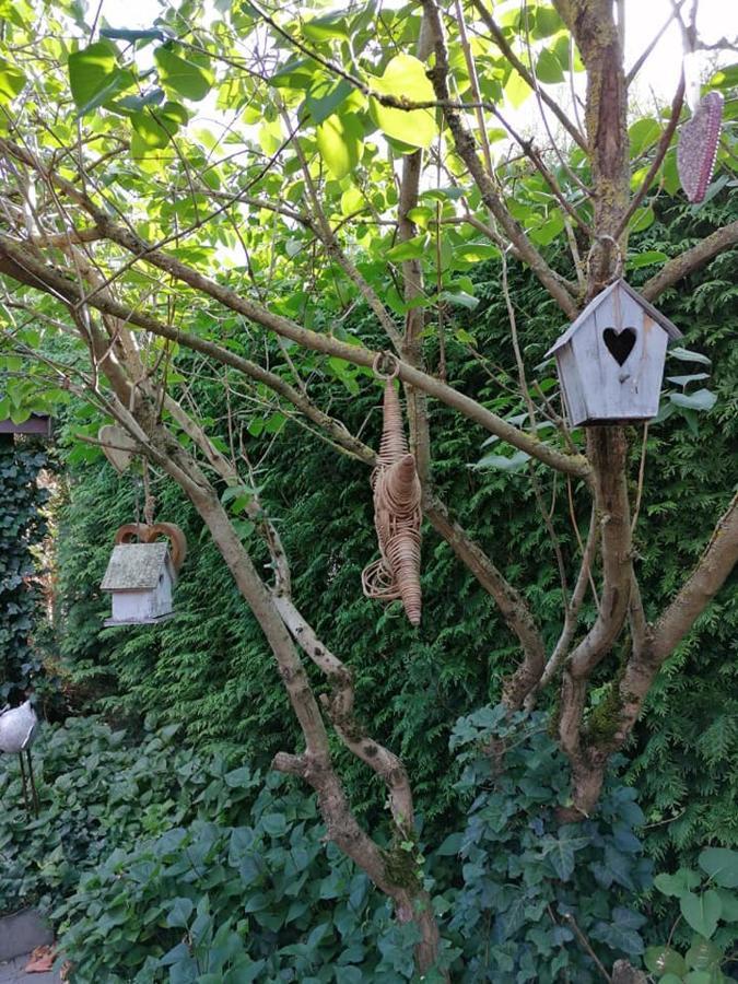 Luxe Wellness B&B Tim Torfs ***** Beringen Exterior foto